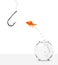 Goldfish jumping out of bowl towards empty hook