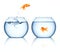 A goldfish jumping out of the fishbowl