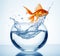 Goldfish jumping out of the fishbowl