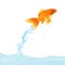 Goldfish Leaping Out Of Water. Vector