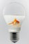 Goldfish in a light bulb