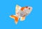 Goldfish low polygon on blue background