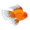 Goldfish Oranda Logo Vector Design