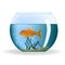 Goldfish in round aquarium