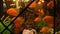 Goldfish swimming in aquarium in restaurant. Frame. Close-up of medium-sized goldfish swimming in transparent aquarium