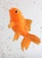 Goldfish swimming with bubbles