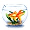 Goldfish swimming in the water in transparent round glass bowl, fish in aquarium, comfort zone concept, hand drawn