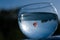 A goldfish swims in a round aquarium against a blue sky and green trees.