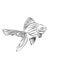 Goldfish. Vector image on white background.