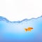 Goldfish In Water. Vector