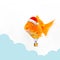 Goldfish wearing a santa claus hat balloon floating in the clouds sky photo retouching