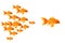 Goldfishes. Vector