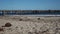 Goleta Beach Pier Stretches Deep into Pacific Ocean