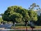 Goleta Street in Santa Barbara California, sunny morning