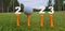 Golf 2023 and New Year number with golf ball on a grassy field