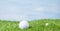 Golf ball against the sky and a green lawn