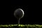 Golf ball on dark backround 2