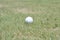 Golf ball on a fairway