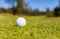 Golf Ball on a Fairway green at a golf course