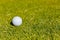 Golf Ball on a Fairway green at a golf course