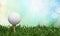 Golf Ball in grass background. Sport and