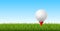 Golf ball grass. Realistic isolated ball on tee stand, panoramic green sport club field. Game starting position, sport