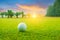 Golf ball on green in beautiful golf course with sunset. Golf ball close up in golf coures at Thailand