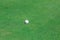 Golf ball on green course field