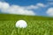 Golf ball on green fairway