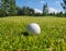 Golf ball on green field. Golfing closeup