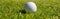 Golf ball on green field. Golfing closeup