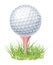 Golf ball on green grass