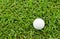 Golf ball on green grass