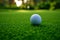 Golf ball on green grass, a close up shot capturing outdoor leisure