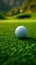 Golf ball on green grass, a close up shot capturing outdoor leisure