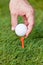 Golf ball and iron on green grass detail macro