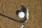 Golf Ball and Iron in a Water Hazard