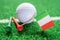 Golf ball with Italy flag and tee on green lawn or grass is most popular sport in the world