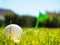 Golf ball laying in rough green grass