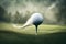 A golf ball in mid-flight