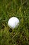 Golf ball in rough