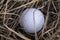 Golf ball in the rough