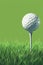 A golf ball is sitting on a green grass field