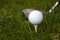 Golf Ball and Tee