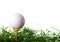 Golf Ball on Tee