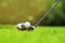 Golf ball on tee in front of driver on a gold course grass green field,the driver positioned ready to hit the ball