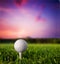 Golf ball on tee at sunset