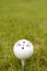 Golf ball whit Compass