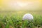 Golf balls on green lawns in beautiful golf courses with sun rise background