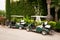 Golf Buggies